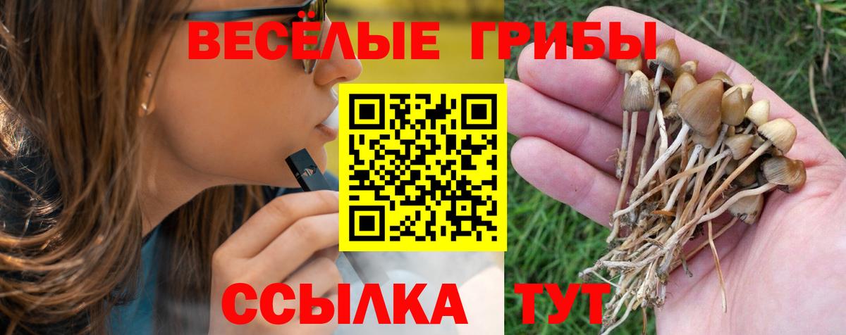 Псилоцибиновые грибы GOLDEN TEACHER  Вход с VPN  Родники  Псилоцибиновые грибы Psilocybe 